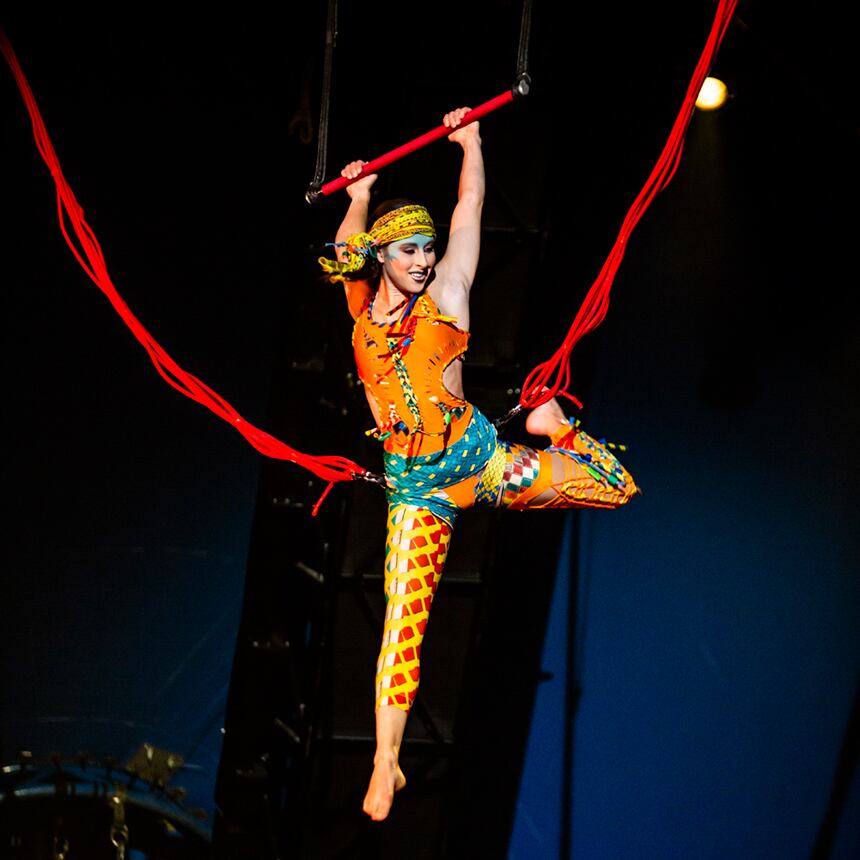cirque du soleil shows